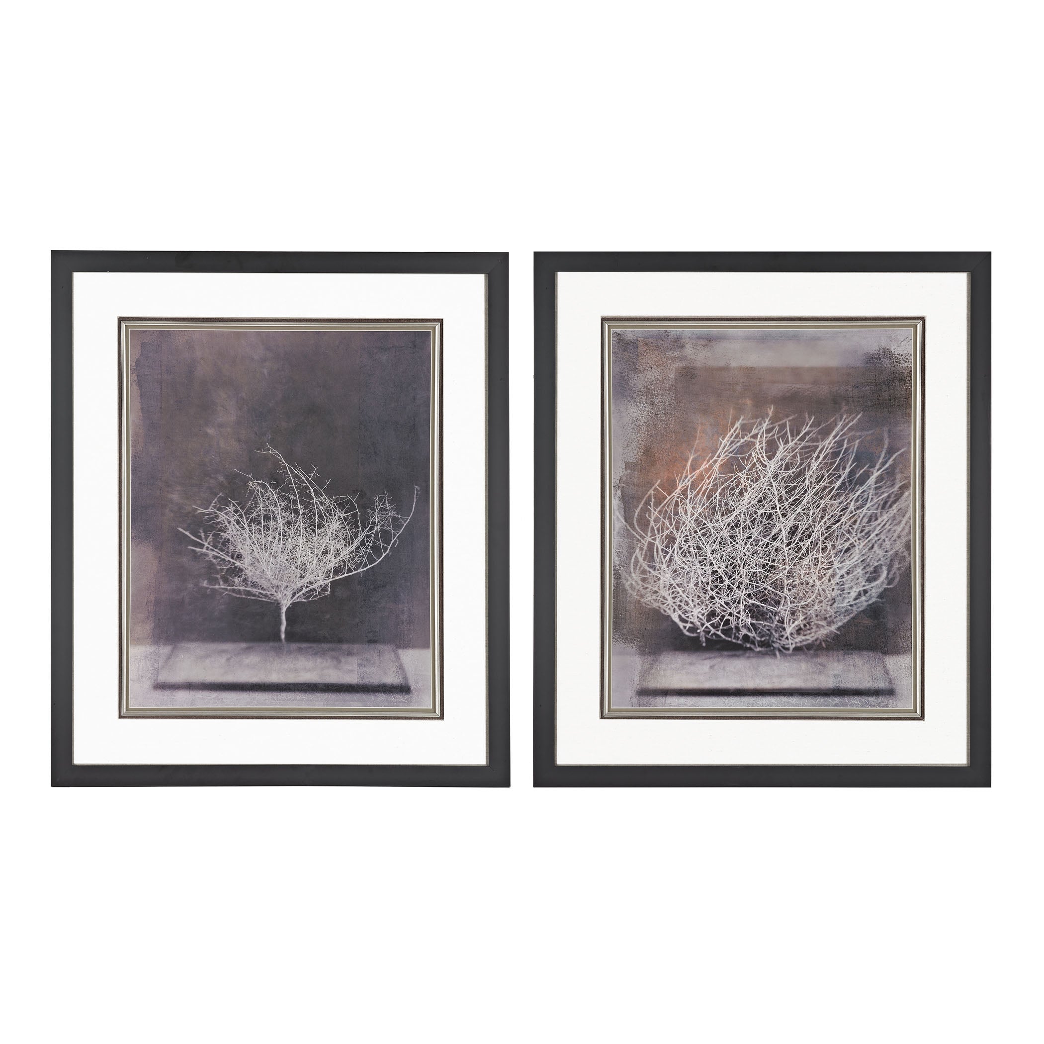 Desert Form Framed Wall Art - Set of 2 Aged Black