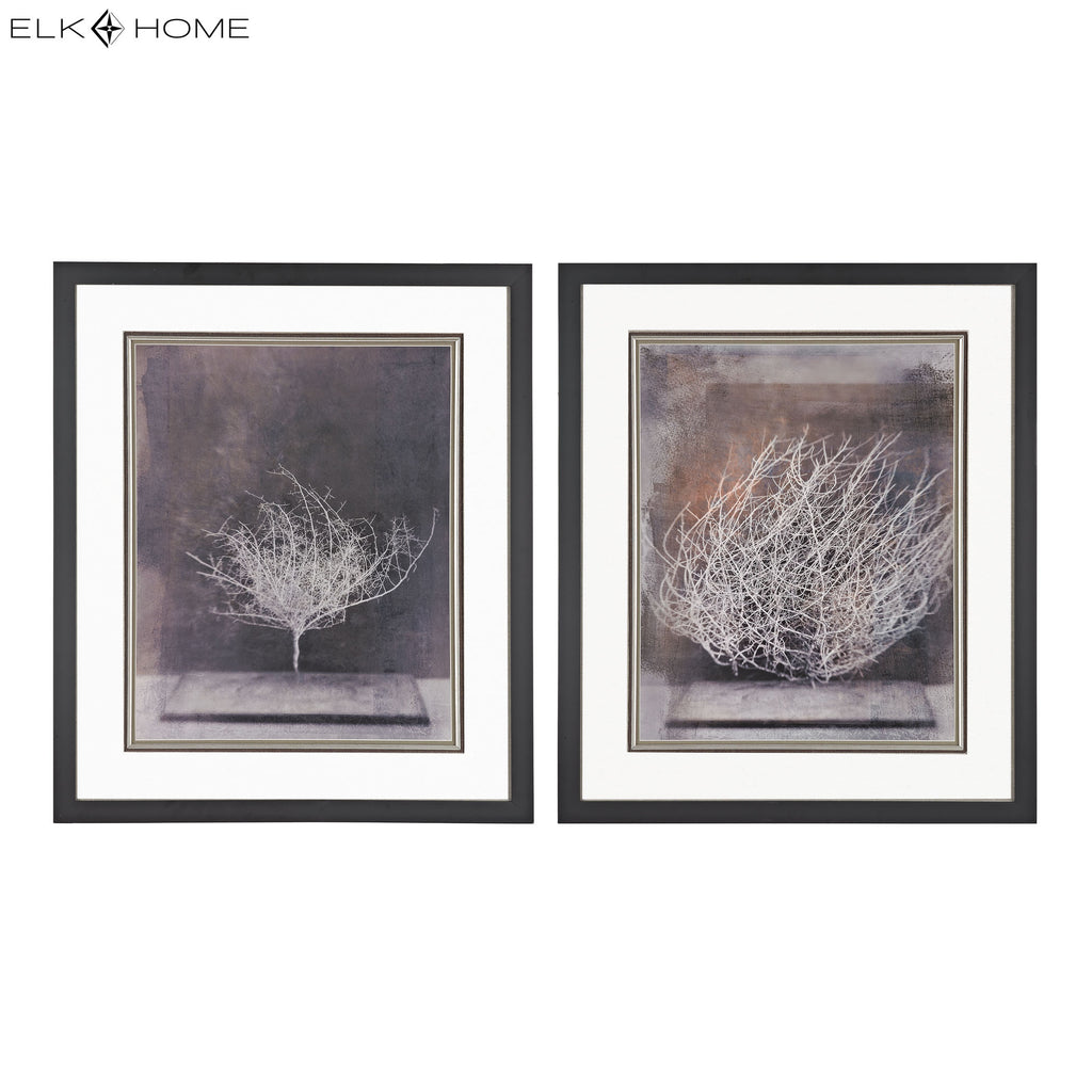 Desert Form Framed Wall Art - Set of 2 Aged Black