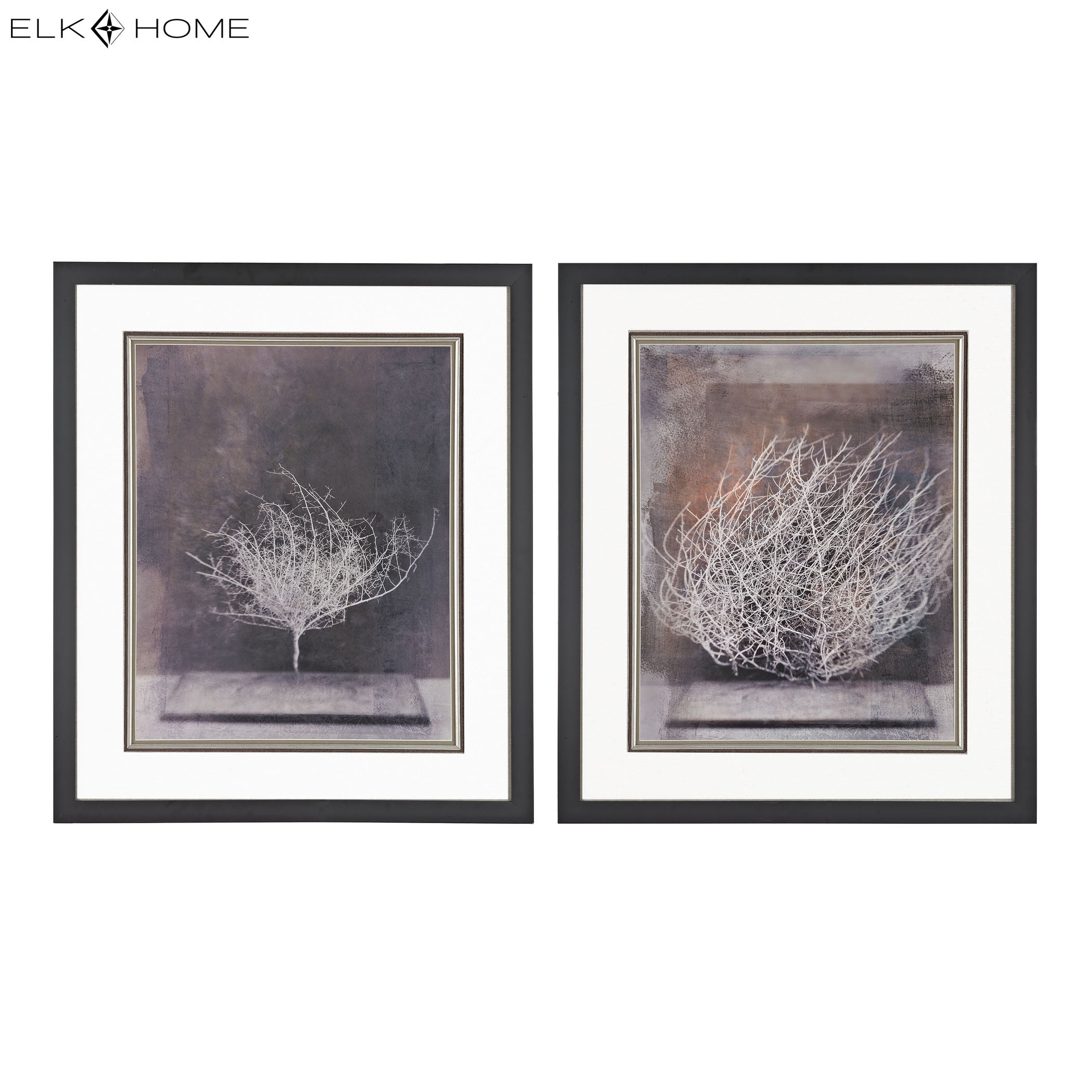 Desert Form Framed Wall Art - Set of 2 Aged Black