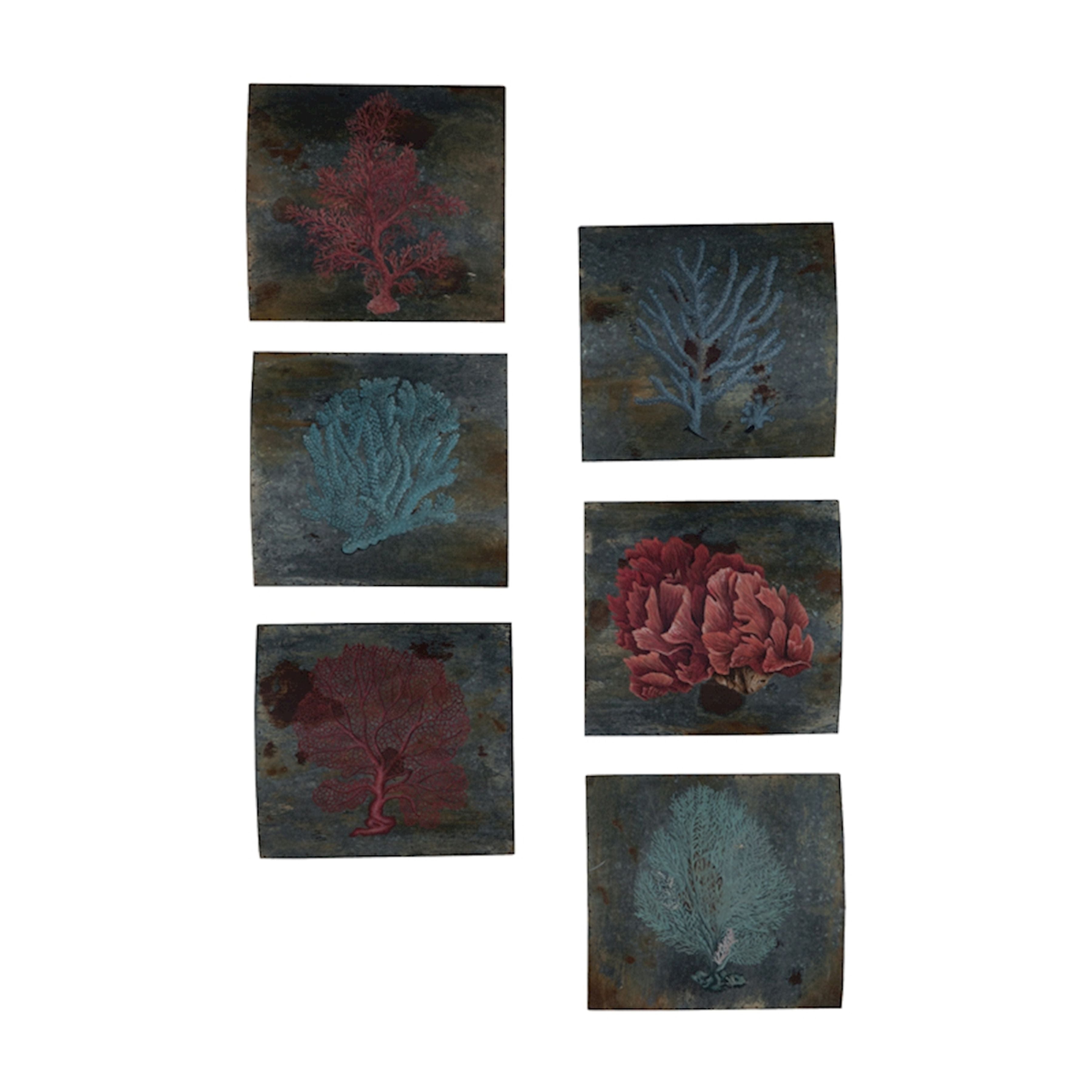Sea Coral Dimensional Wall Art - Set of 6 Multicolor