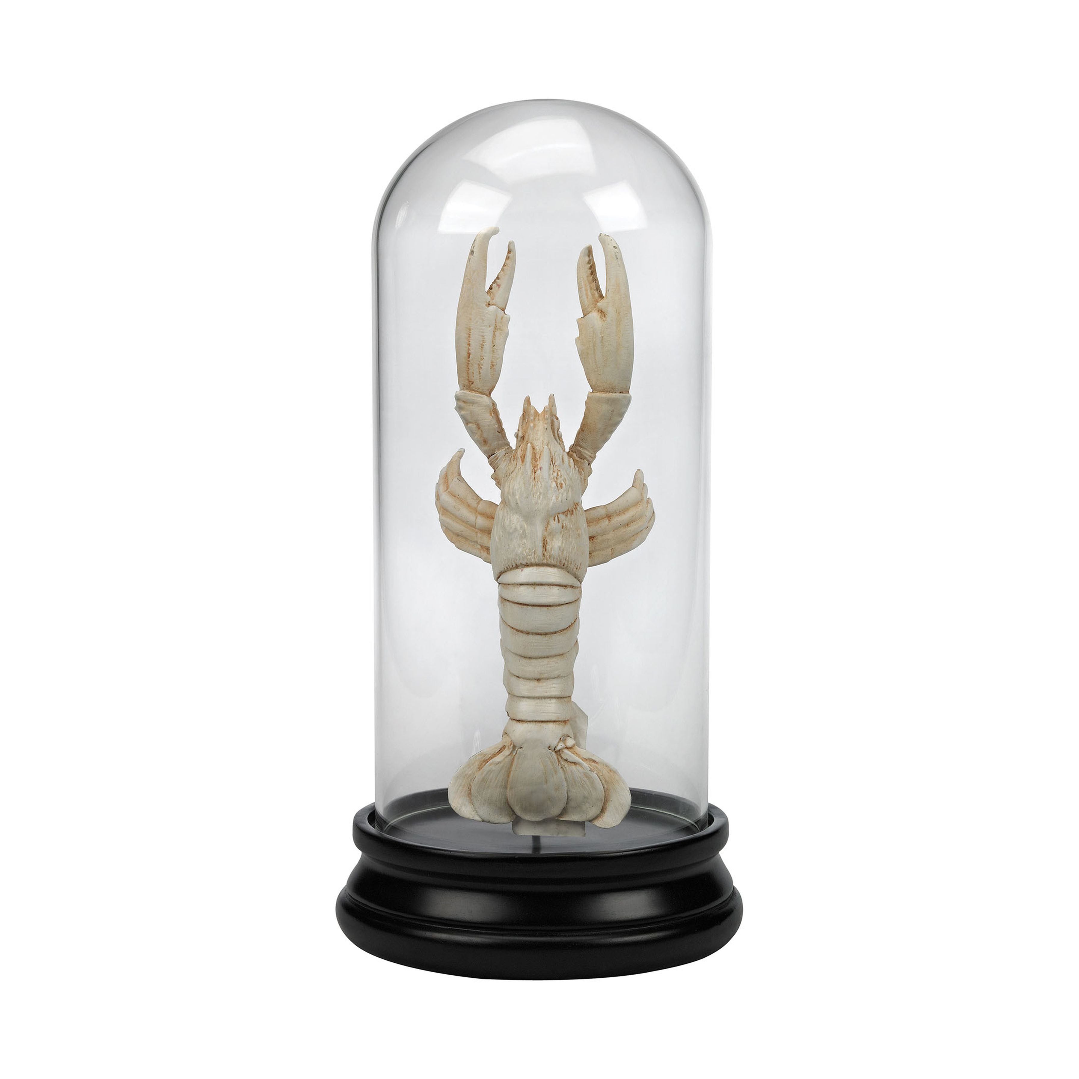 Naturae Ancient Lobster Object - Ivory