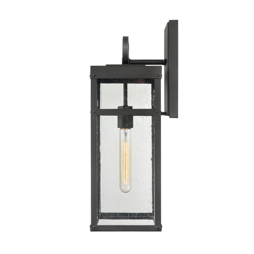 Dalton 19.5'' High 1-Light Outdoor Sconce - Textured Black