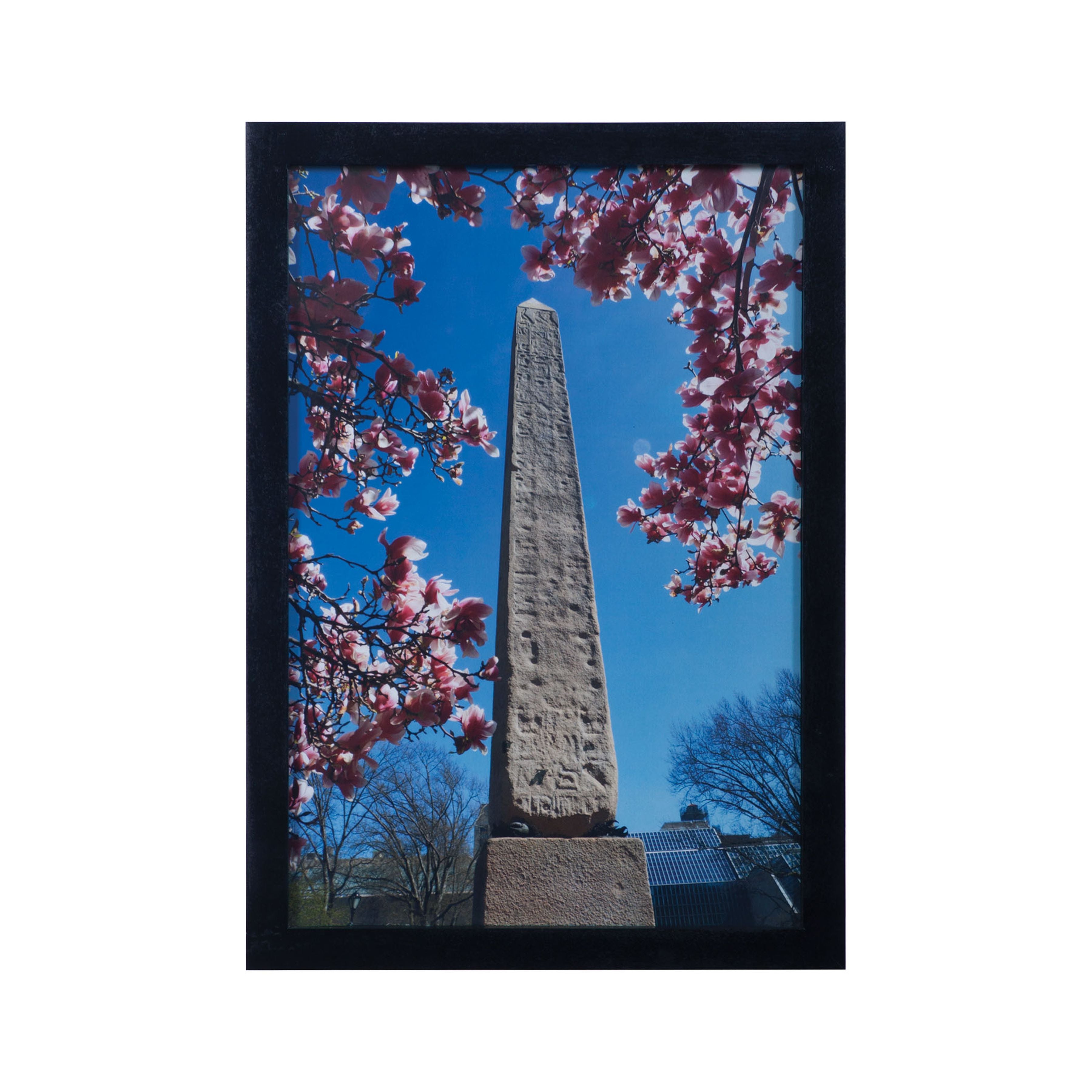 Central Park Framed Wall Art - Multicolor