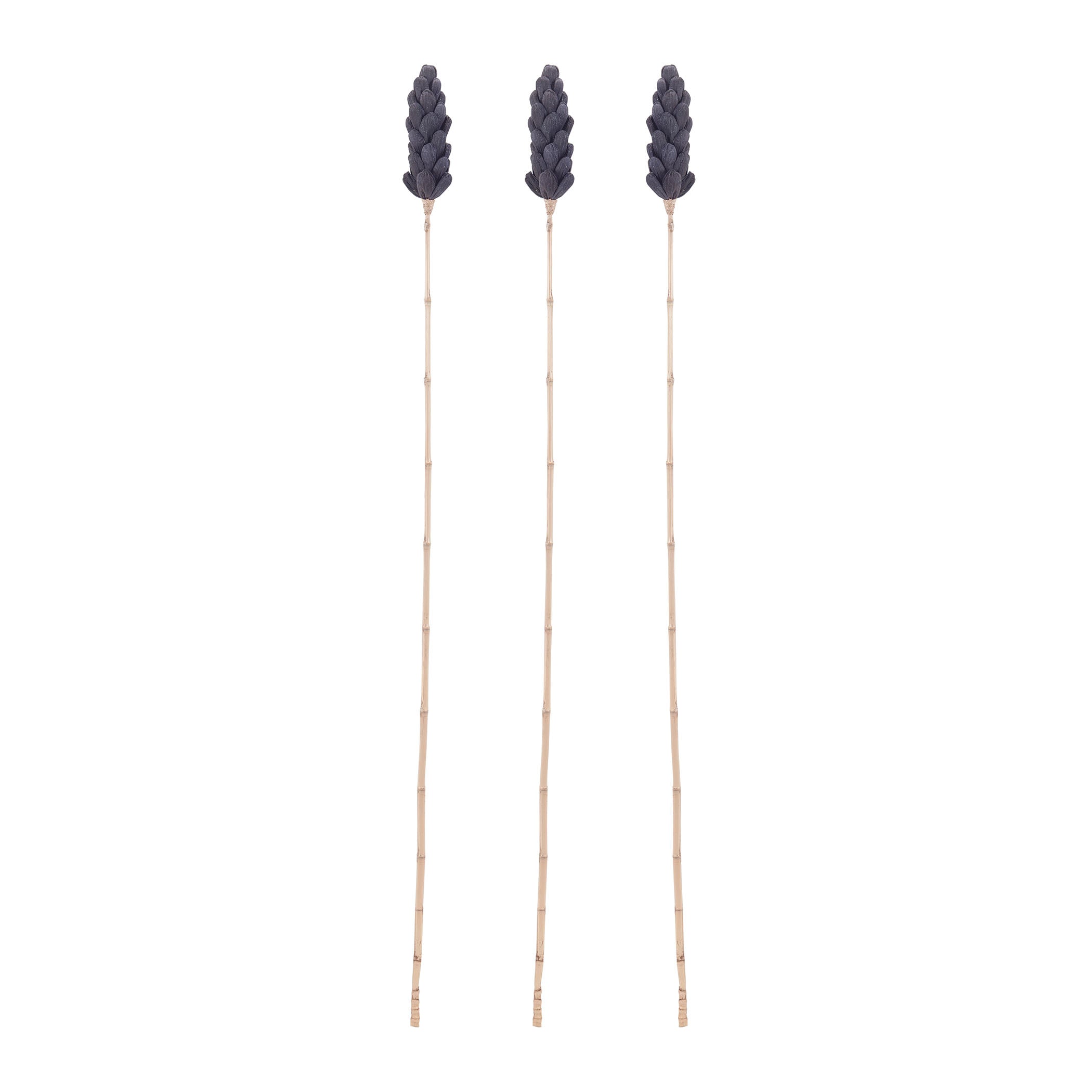 Corn Leaf Stem Object - Set of 3 Gold