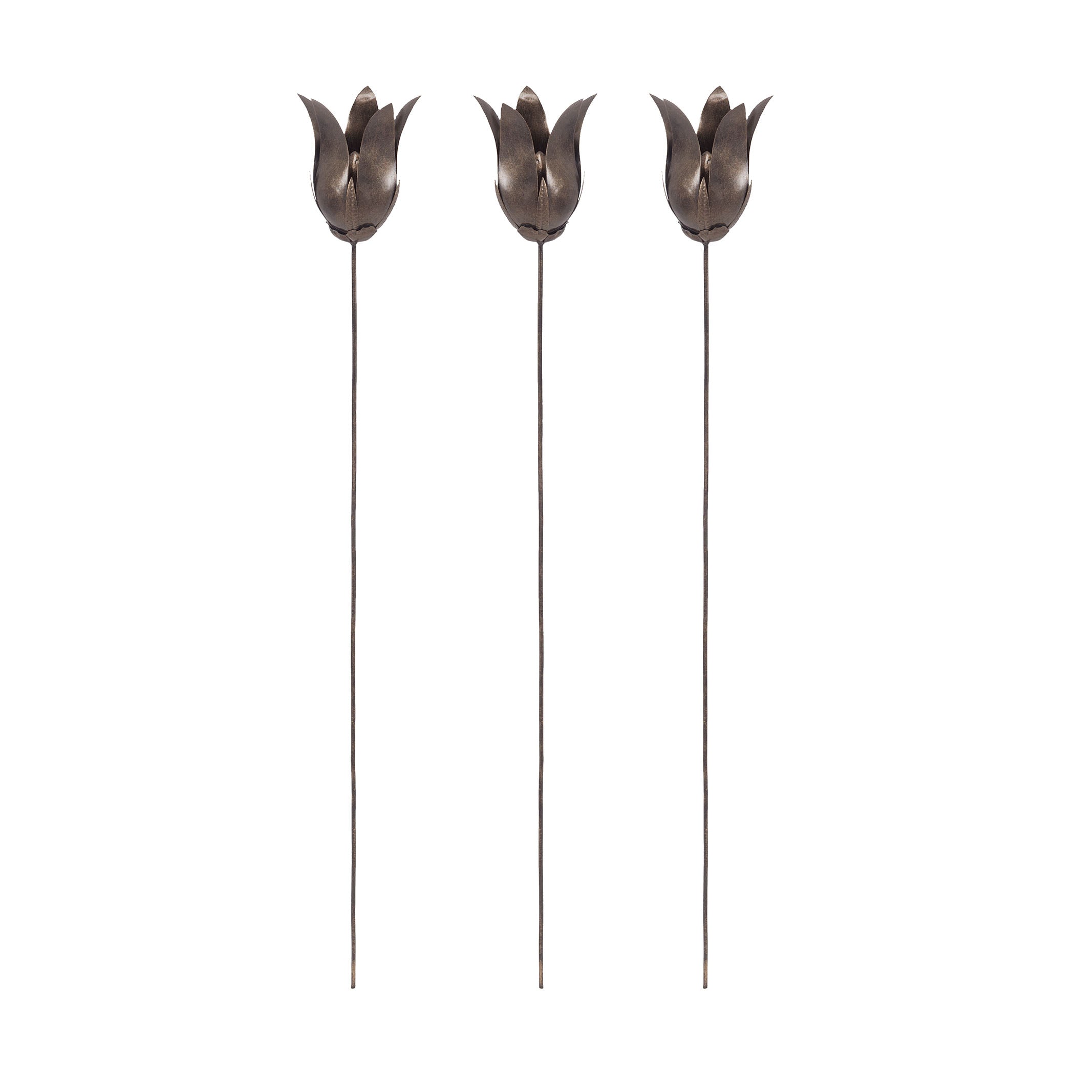 Tulip Stem Object - Set of 3 Bronze
