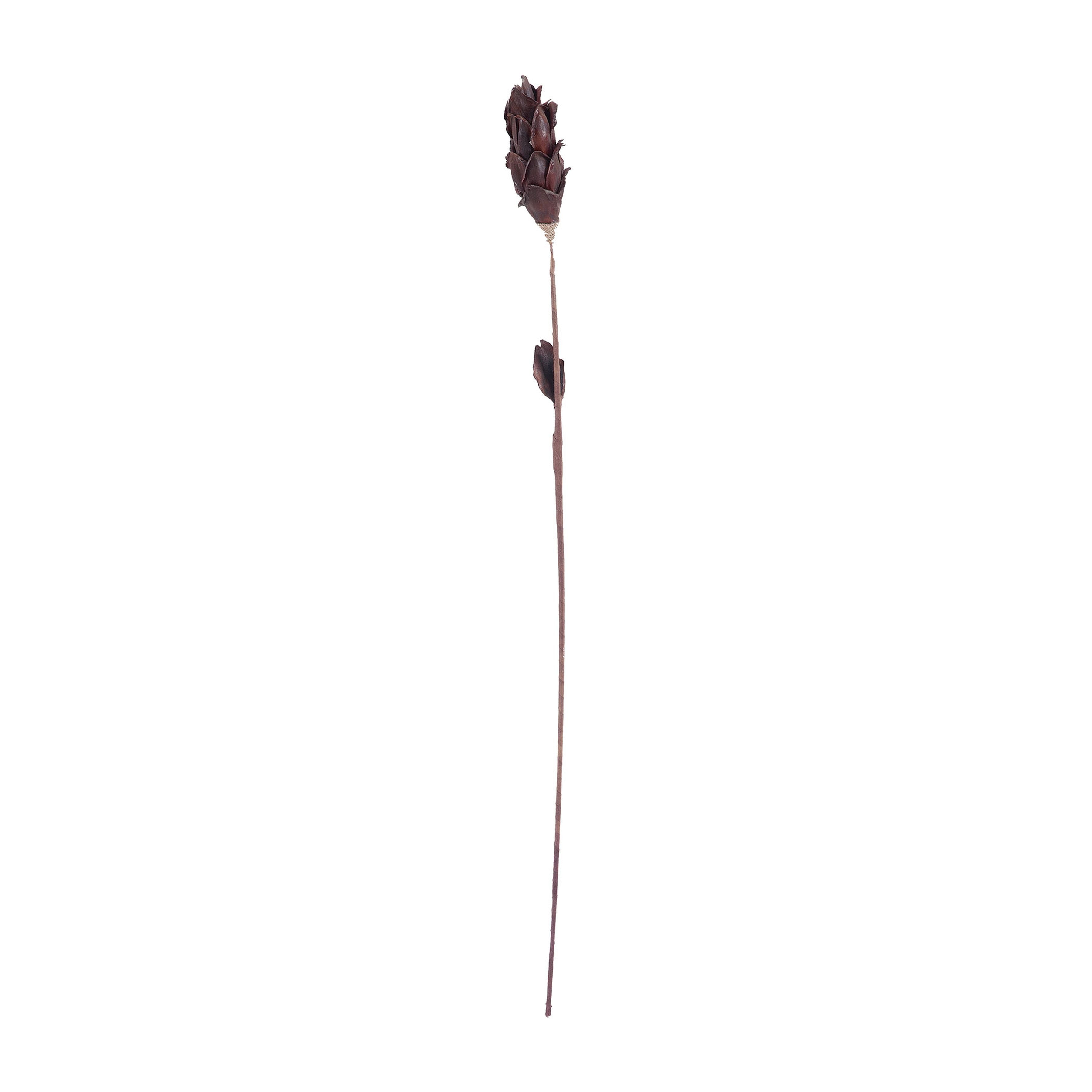 Corn Leaf Stem Object - Black