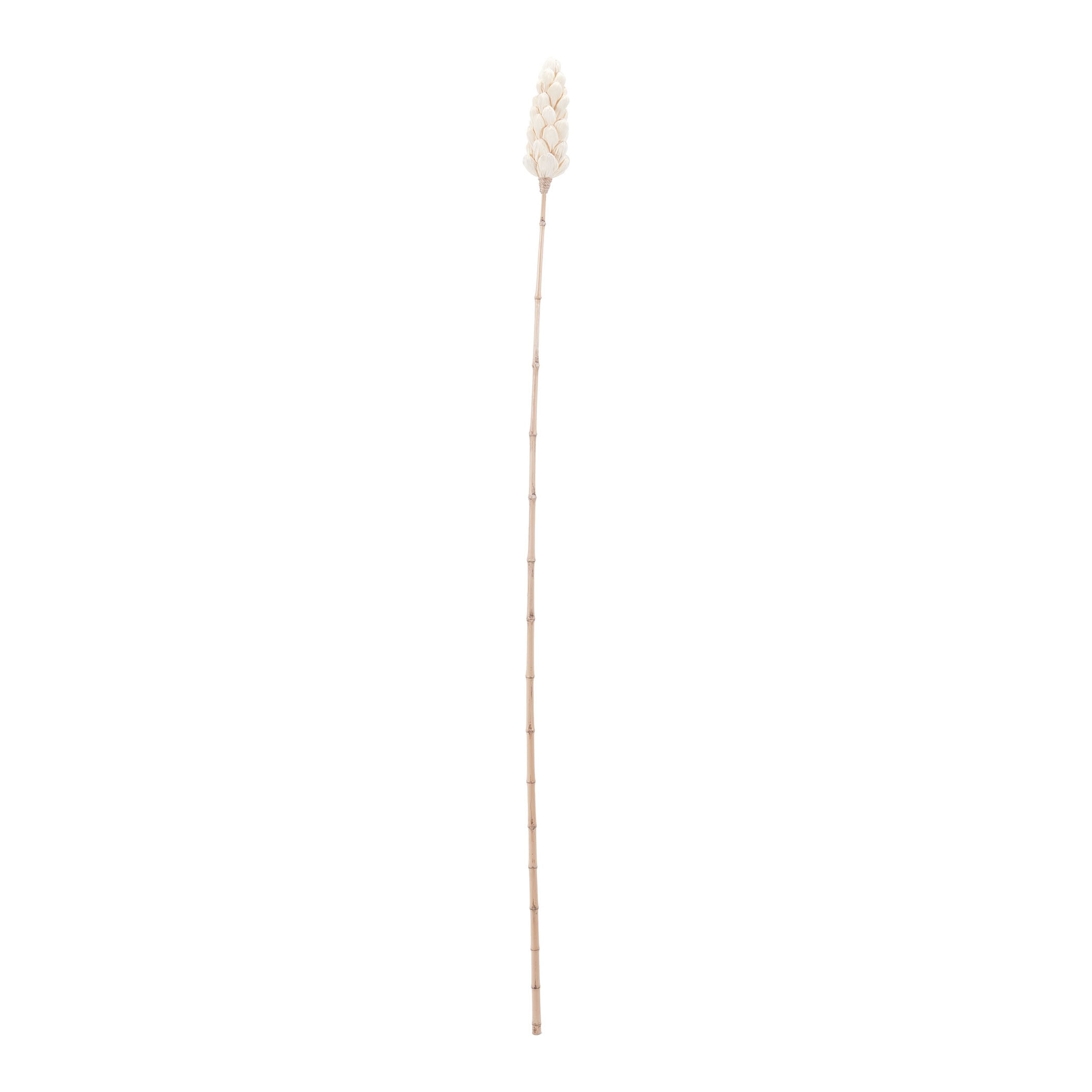 Corn Leaf Stem Object - Natural