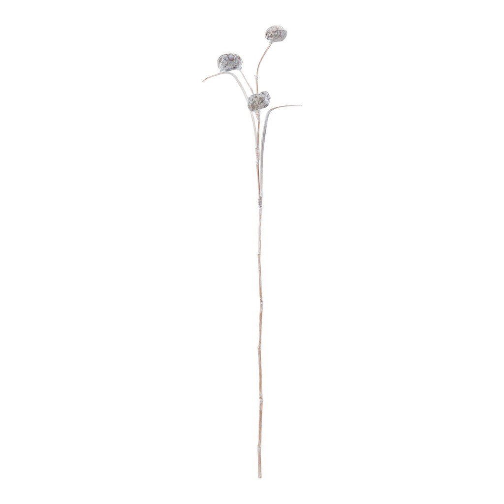 Pangi Flower Stem Object - Whitewash