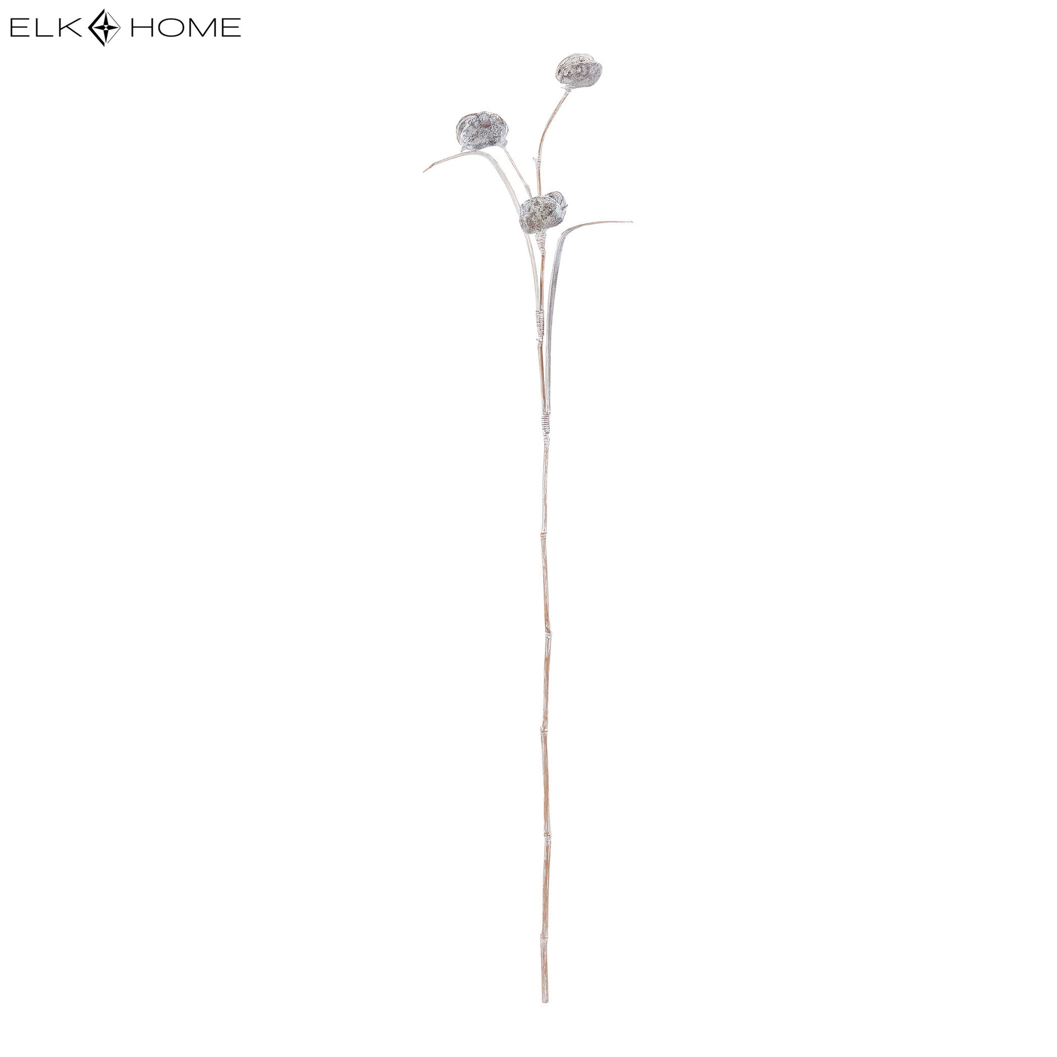 Pangi Flower Stem Object - Whitewash