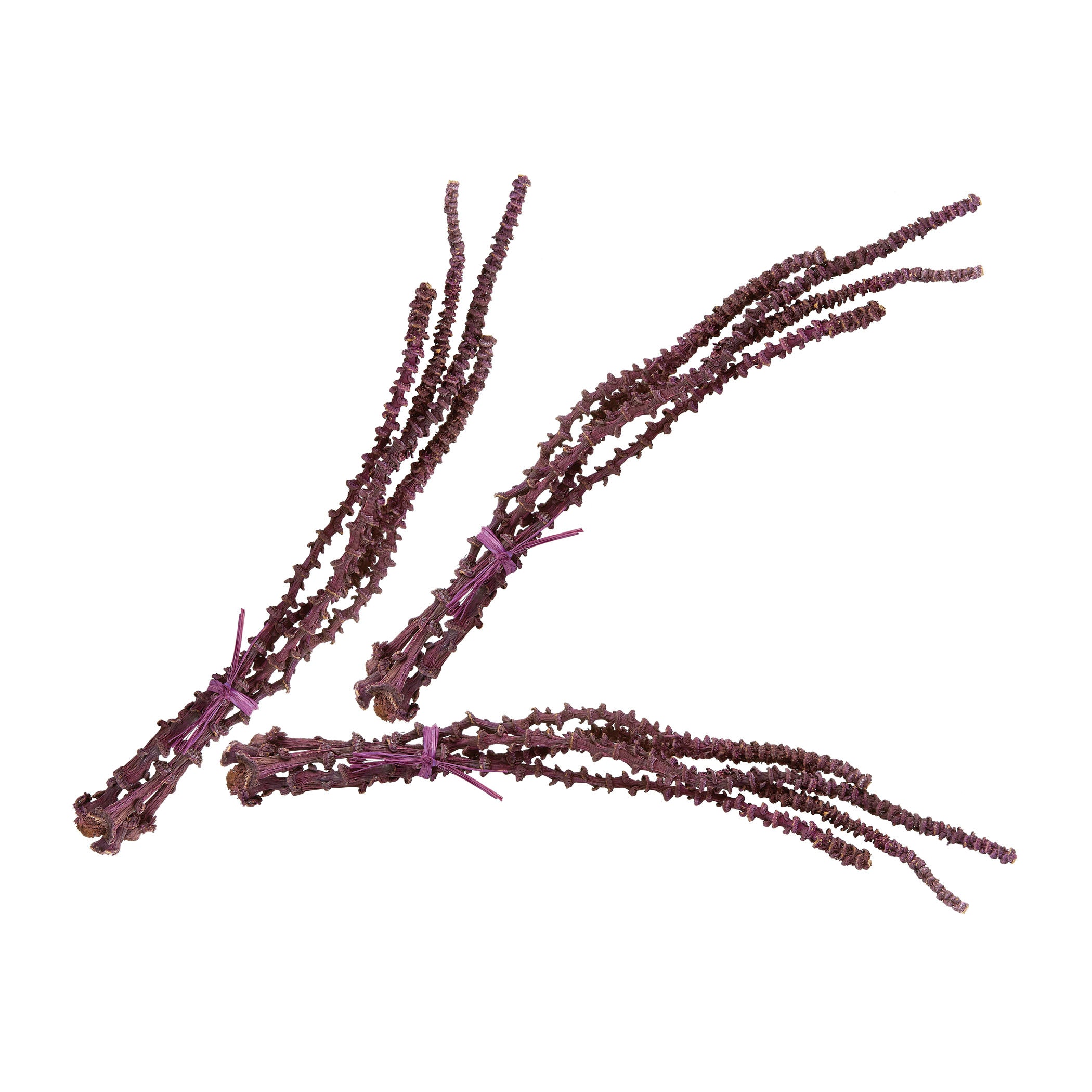 Banana Stem Object - Set of 3 Purple