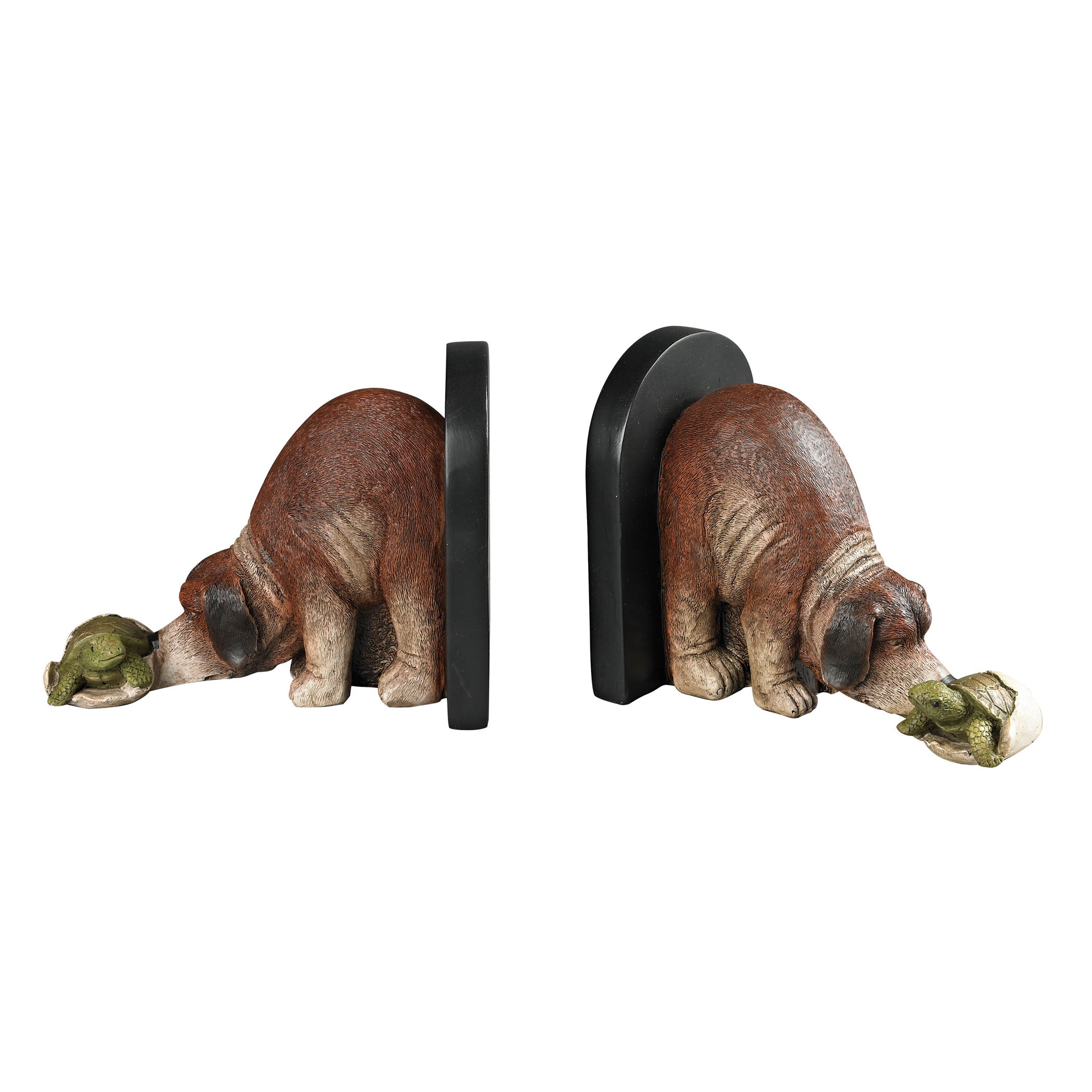Hatchling Bookend - Set of 2 Brown