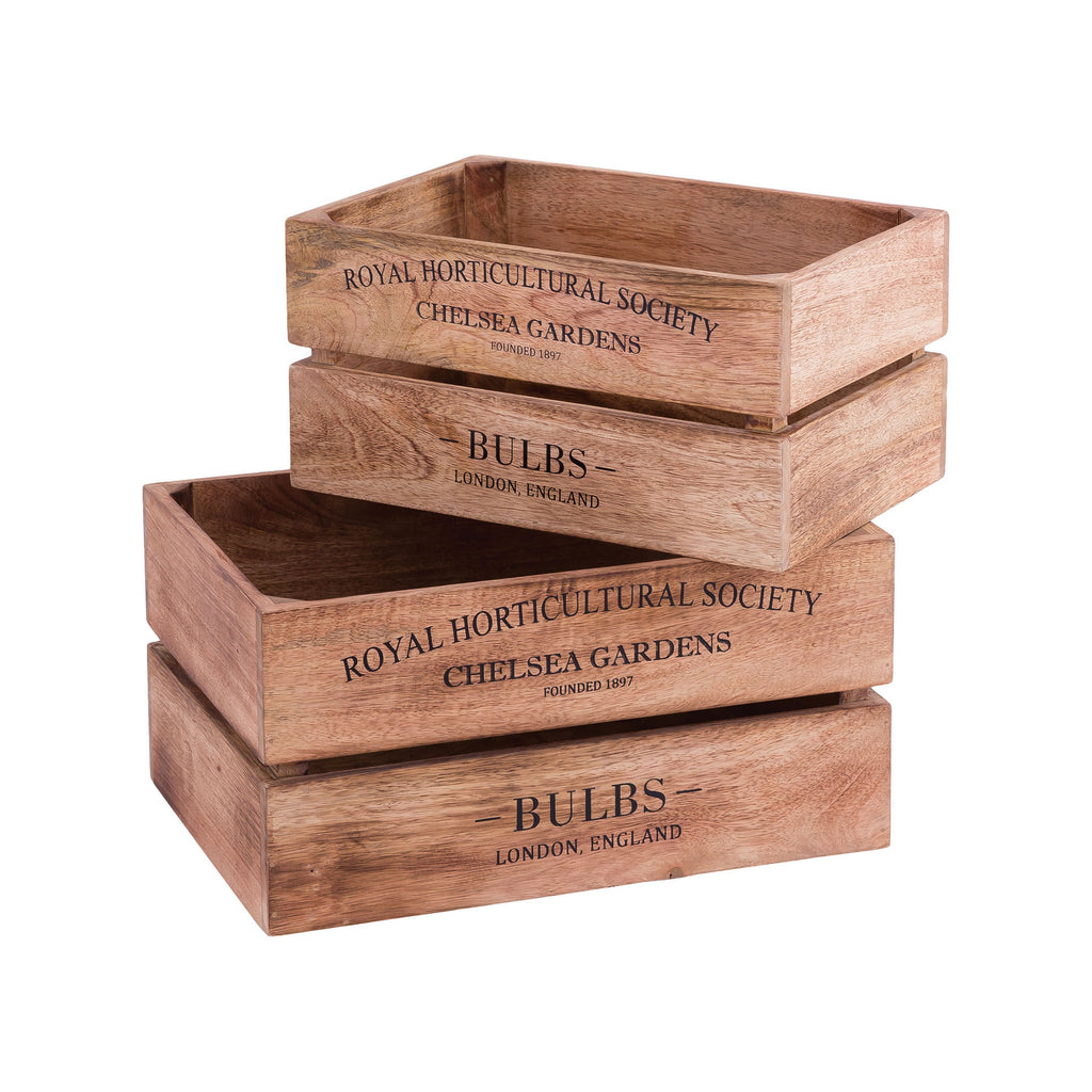 English Bulbs Box - Set of 2 Natural